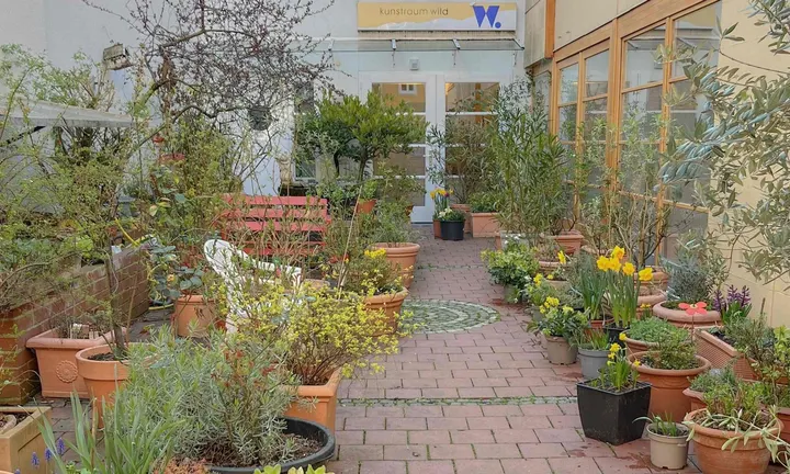The Collective Flow — yoga-studio in Maxvorstadt, München — 3