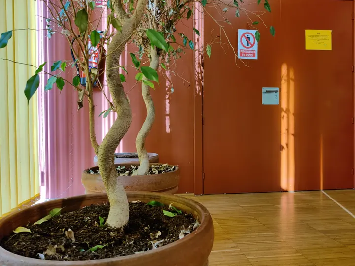 Centro Cultural los Pinos — baile-studio en Suroeste, Alcorcón — 2