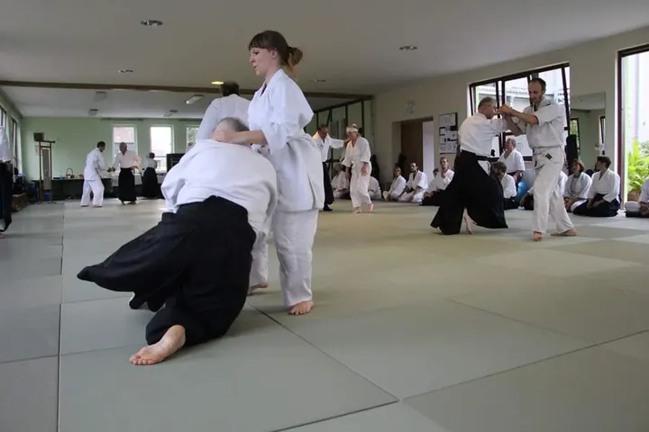 Takemusu Aiki Dojo Bayern e.V. — kampfsport-studio in Fürth — 4