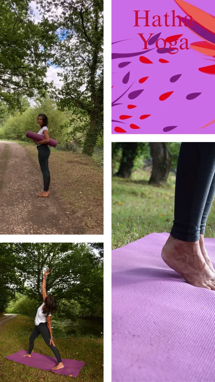 Yogavitalite Michelle maillard — Yoga à Thabor - Paris, Rennes