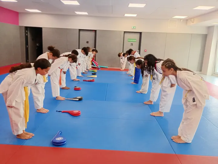 Académie Taekwondo Same Kwon Bertrand Dauvin — Arts martiaux à Paris 18e Arrondissement, Paris