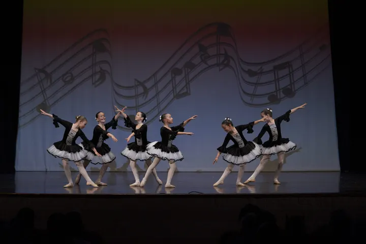 Ballet Center — danza-studio a Paltana, Padova — 3