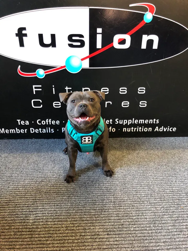 Fusion Fitness — fitness studio in Leeds — 3