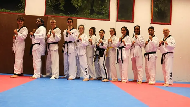 Olympique Grenoble Taekwondo — arts martiaux-studio à Grenoble — 3