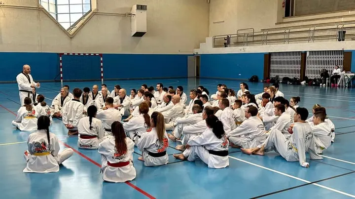 Olympique Grenoble Taekwondo — arts martiaux-studio à Grenoble — 4