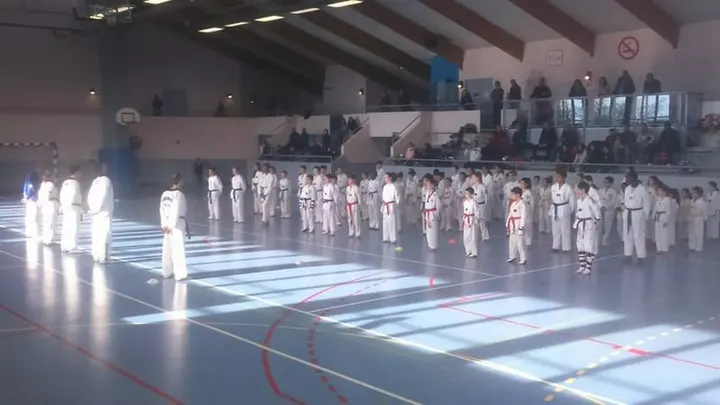 Olympique Grenoble Taekwondo — arts martiaux-studio à Grenoble — 5