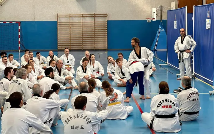 Olympique Grenoble Taekwondo — Arts martiaux à Berriat Saint-Bruno, Grenoble