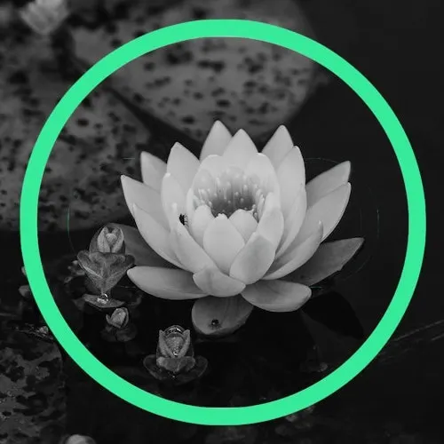 The Yoga Society — yoga-studio in Oegstgeest — 4