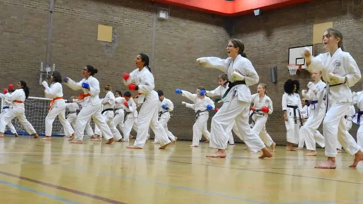 London Karate Royal — Martial Arts in Park Royal, London