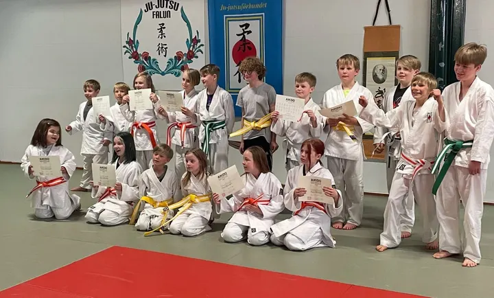 Aikido Falun Meiseikai — martial arts-studio i Lilla Hälla, Falun