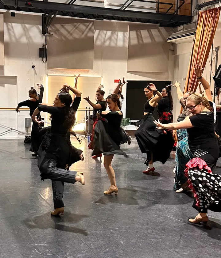 Sara Martin Dance Center — baile-studio en Las Rozas de Madrid — 5