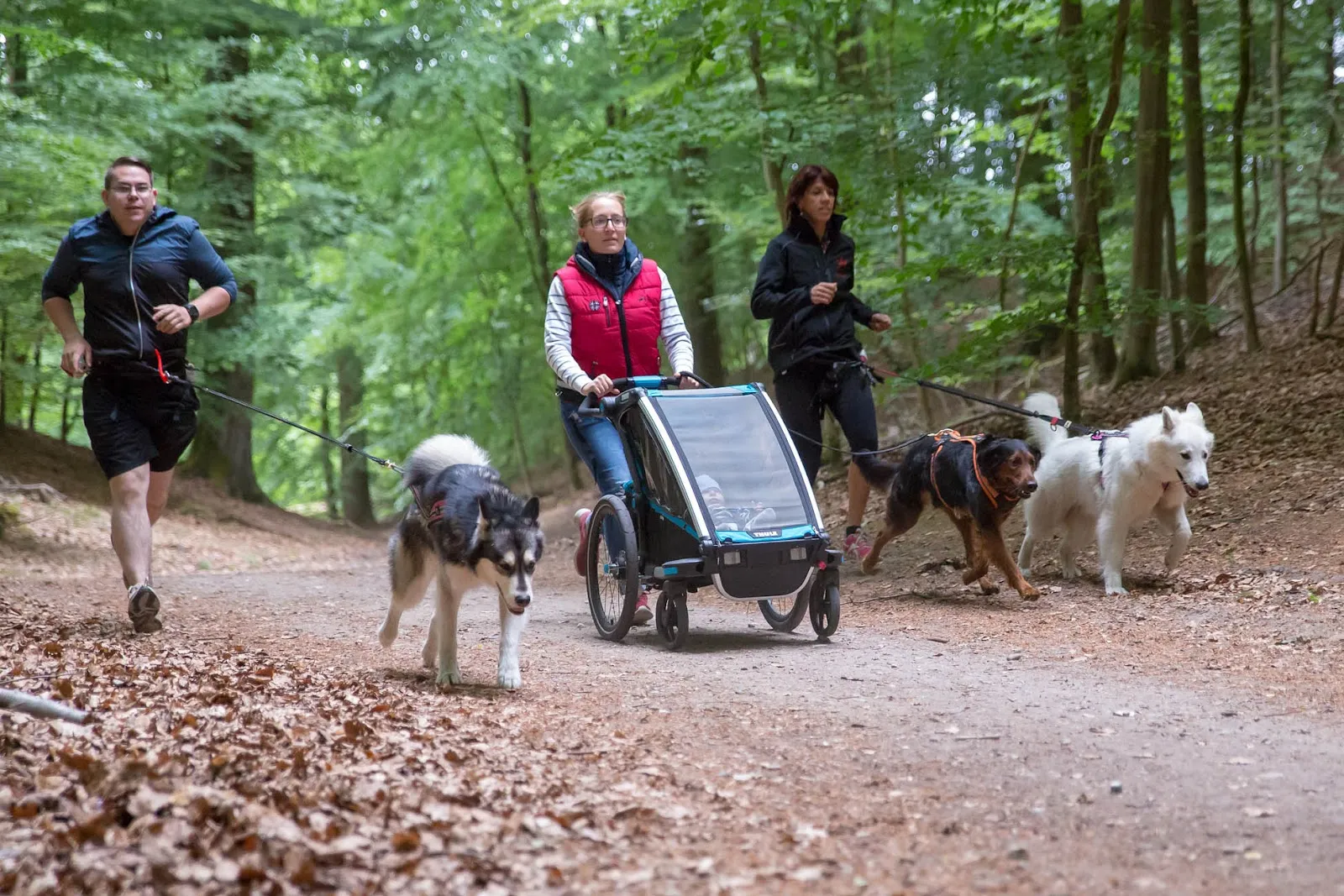 Fit mit Hund Hamburg Bahrenfeld — fitnessstudio in Hamburg — 5