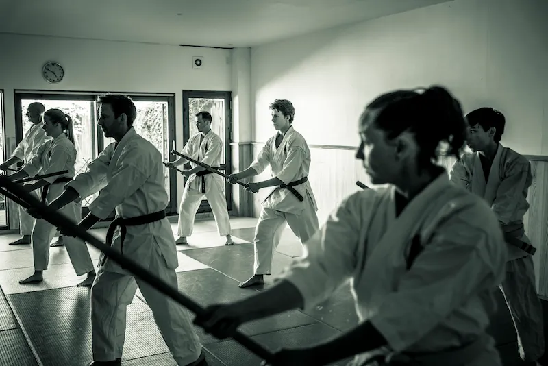 Seido ryu karate — kampsport-studio i København — bild 5