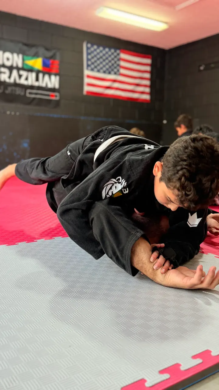 Lion Brazilian Jiu-Jitsu — jiu-jitsu brasileiro-studio em Braga — 3