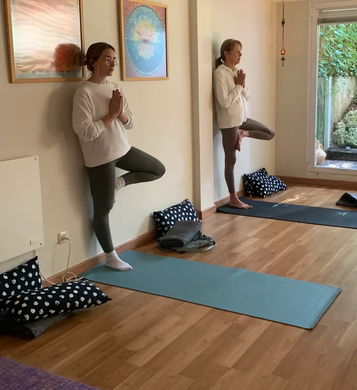 Yoga Casa del Sol — yoga-studio en Villanueva de la Cañada — 4