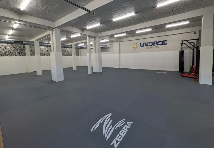 UNIDADE jiu jitsu/Grappling/kickboxing — jjb-studio à Vaise, Lyon — 2