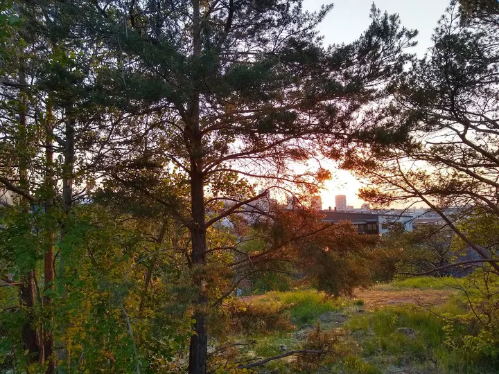 Äventyrsparken Blockriket — bouldering-studio i Liljeholmen, Stockholm — 2