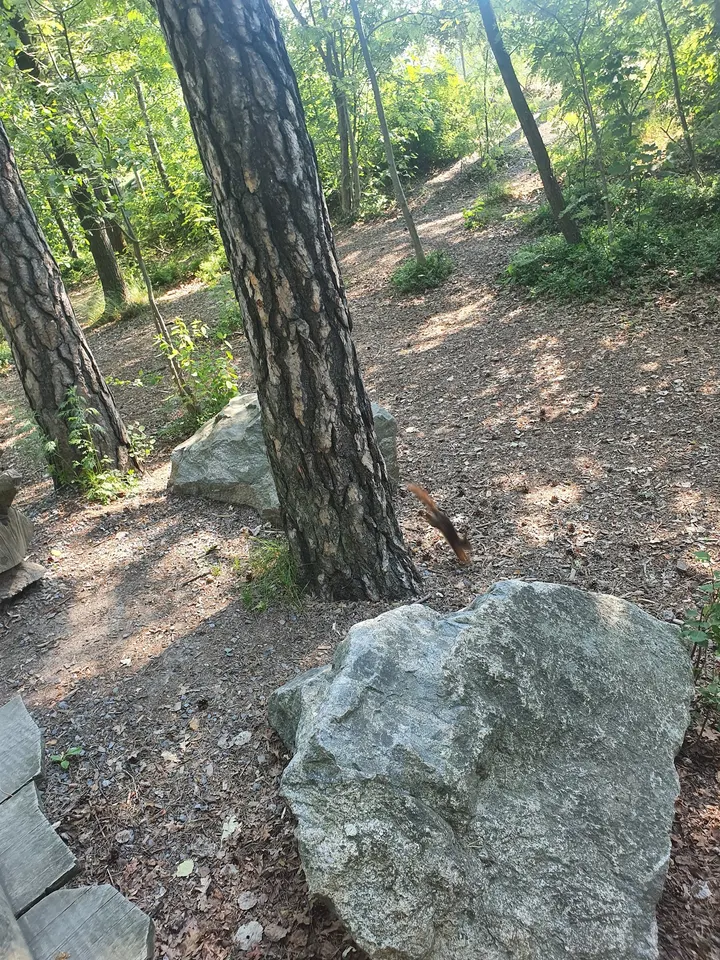 Äventyrsparken Blockriket — bouldering-studio i Stockholm — 5