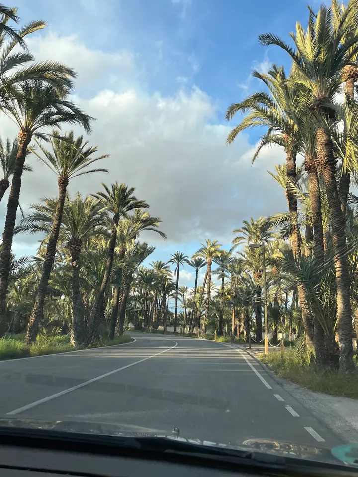 Triboo Sports Academy — Fuerza en Urbanització Les Atzavares, Elche