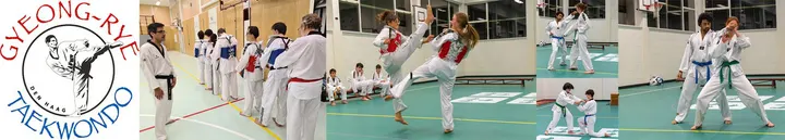 GYEONG-RYE Taekwondo — Vechtsport in Haagse Hout, Den Haag