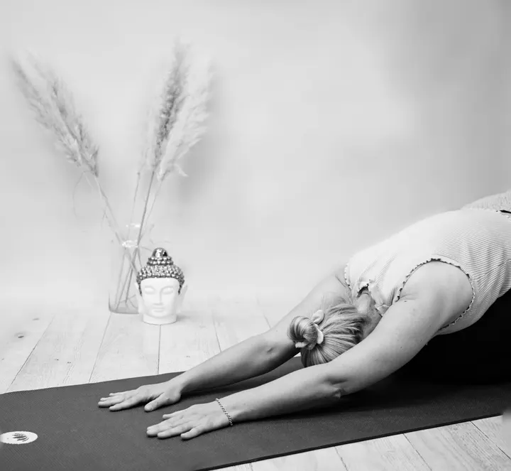 Lotus Yoga Lahnstein Denise Güngör — yoga-studio in Lahnstein — 3