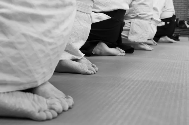 Aikidoschool Amstelveen — vechtsport-studio in Amstelveen — 3