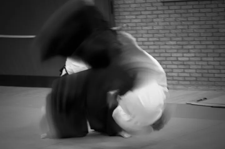 Aikidoschool Amstelveen — vechtsport-studio in Amstelveen — 3
