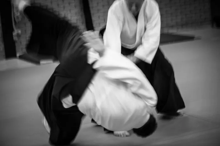 Aikidoschool Amstelveen — vechtsport-studio in Amstelveen — 5