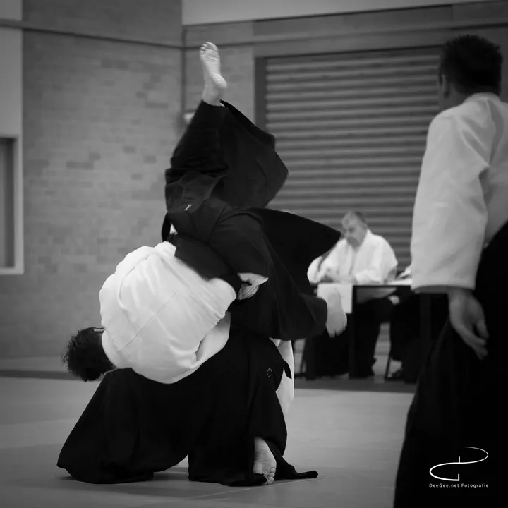 Aikidoschool Amstelveen — vechtsport-studio in Amstelveen — 6