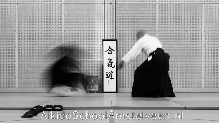 Aikidoschool Amstelveen — Vechtsport in Amstelveen