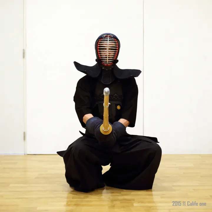 Suishinkai dojo Plessis Tison — Arts martiaux à Plessis Tison, Nantes