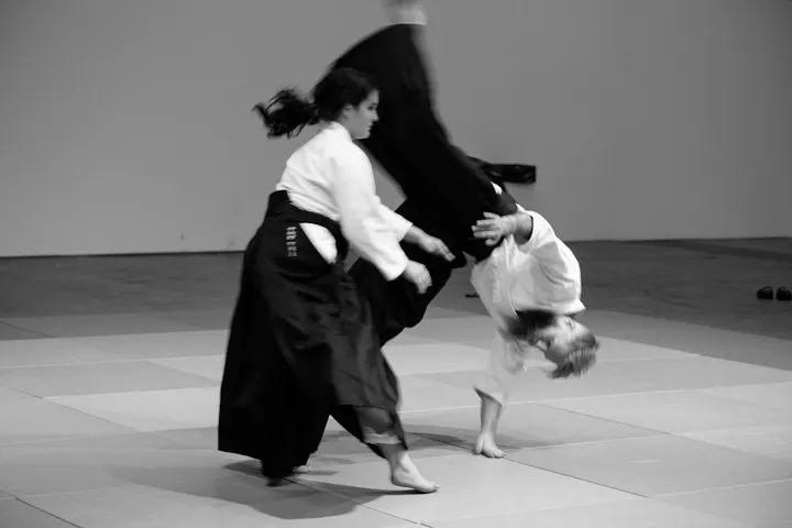 Linköpings Budoklubb Ryd — kampsport-studio i Linköping — 3