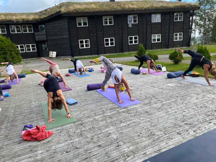 Tanja Evensen Yoga — yoga-studio i Hamar — 4
