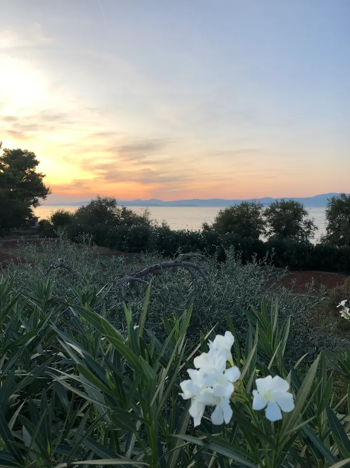 Tanja Evensen Yoga — yoga-studio i Hamar — 5
