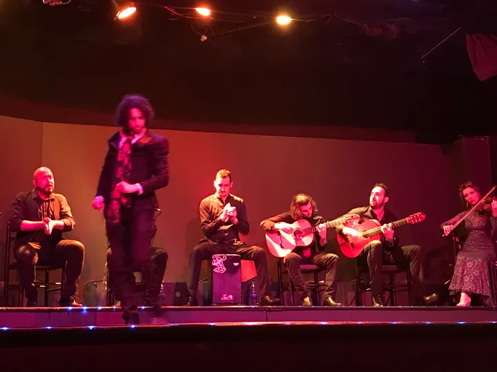 Palacio del Flamenco — baile-studio en Barcelona — 5