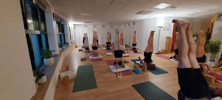 Yoga des Trois Chenes — yoga-studio à Lille — 5