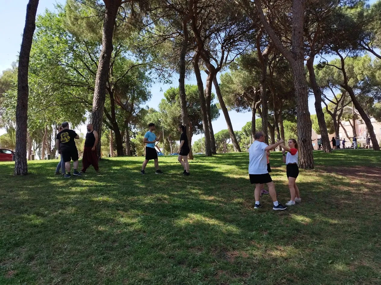 Club Deportivo Tsunami — artes marciales-studio en Tetuán, Madrid — 3