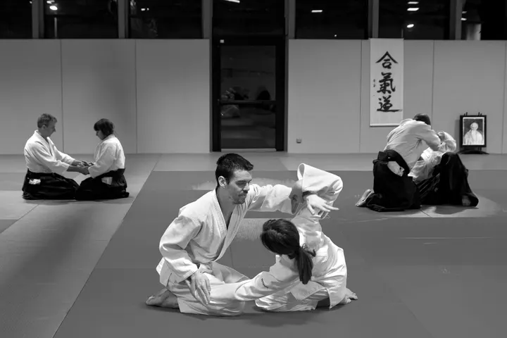 Dojo Aïkido de Nantes — arts martiaux-studio à Île Beaulieu, Nantes — 3