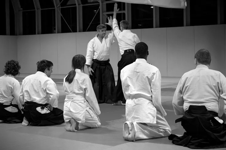 Dojo Aïkido de Nantes — Arts martiaux à Île Beaulieu, Nantes