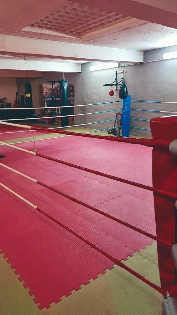 Kickboxschule Mack — kampfsport-studio in Mutterstadt — 2