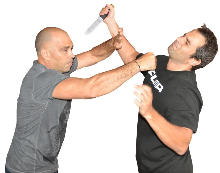 Krav Maga Lyon Com — Kickboxing à Lyon 8e Arrondissement, Lyon