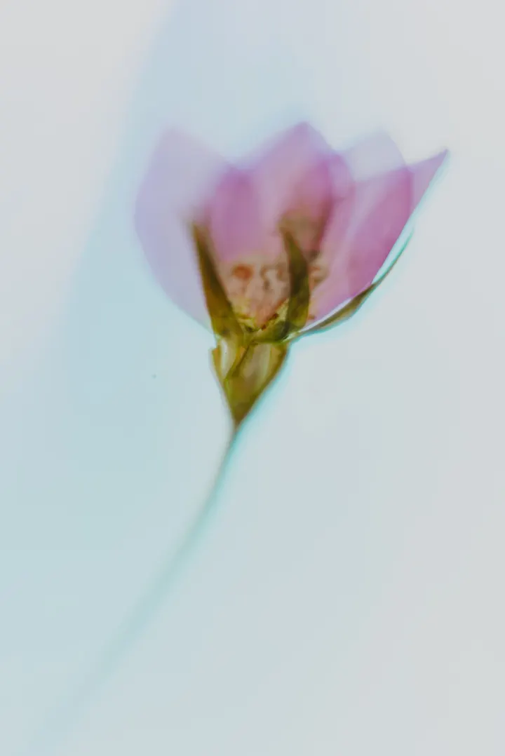 Take a Breath — breathwork-studio in Centrum, Amsterdam — 3