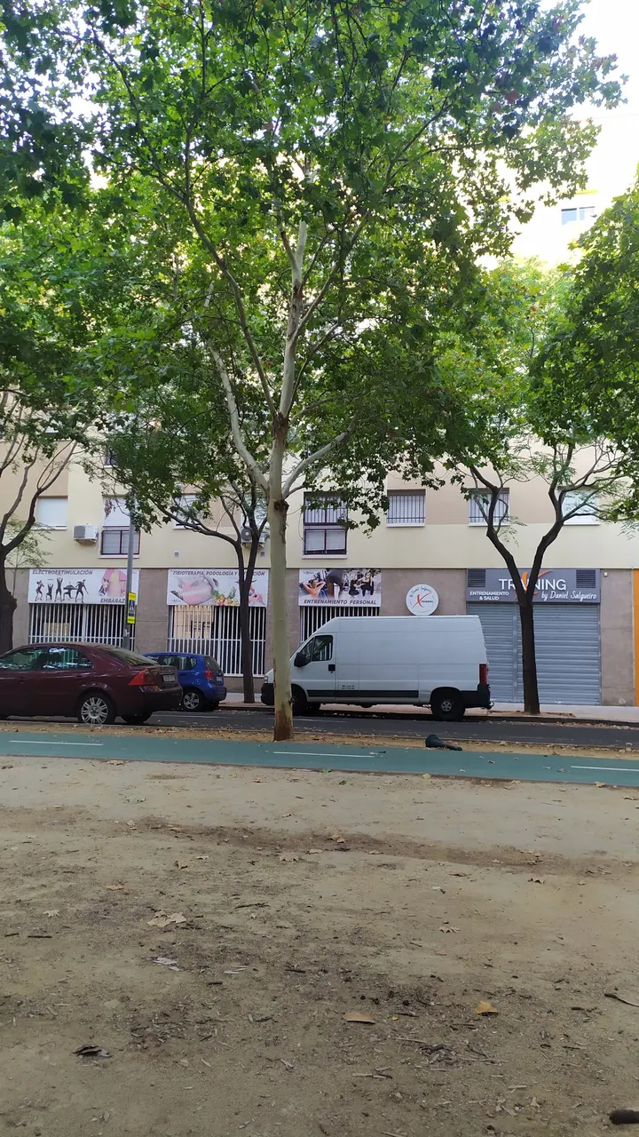 XTraining-Outdoor — entrenamiento funcional-studio en Sevilla — 2