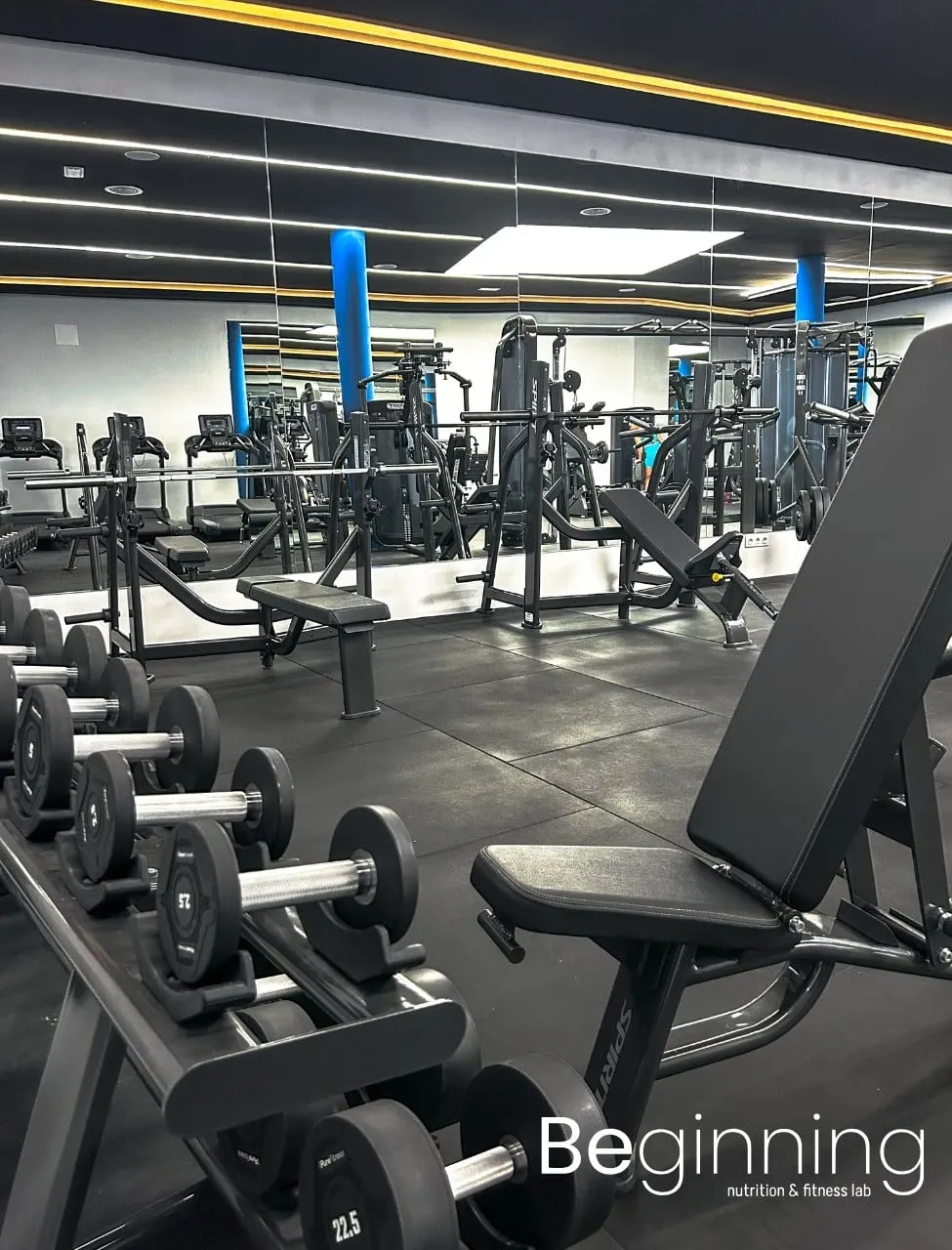 Beginning, nutrition and fitness lab — träningsstudio-studio i Madrid — bild 4