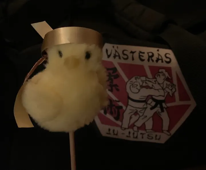 Västerås Ju-Jutsuklubb — kampsport-studio i Västerås — 4