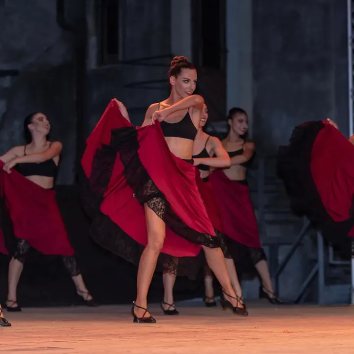 Accademia "Danse La Vie" - scuola di danza catania — danza-studio a Catania — 3