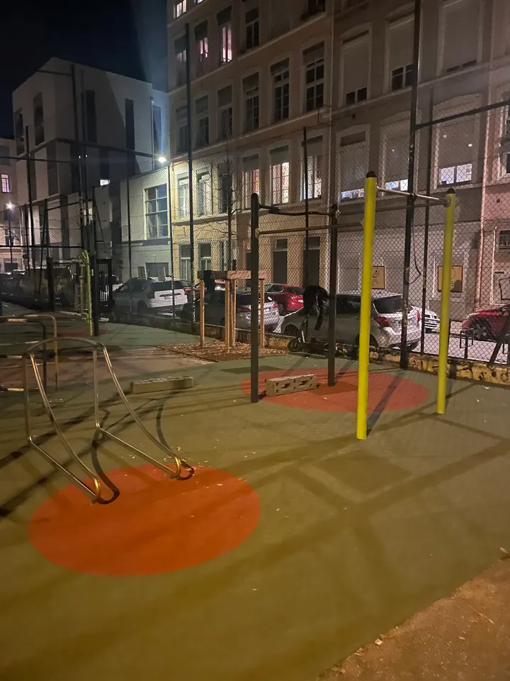 Parc streetworkout — callisthénie-studio à Lyon 4e Arrondissement, Lyon — 2