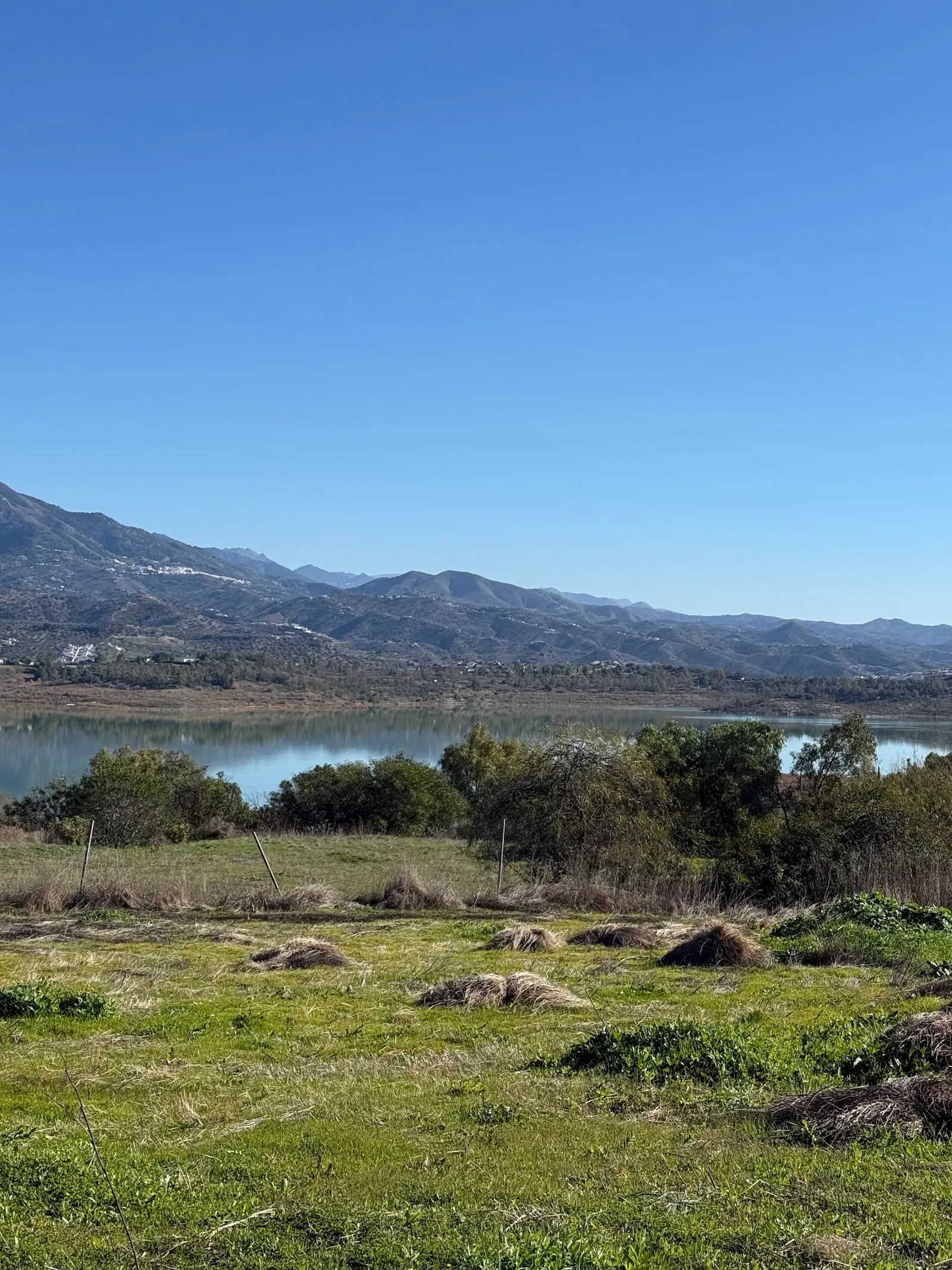 Tatami Spirit — yoga-studio en Viñuela — 2