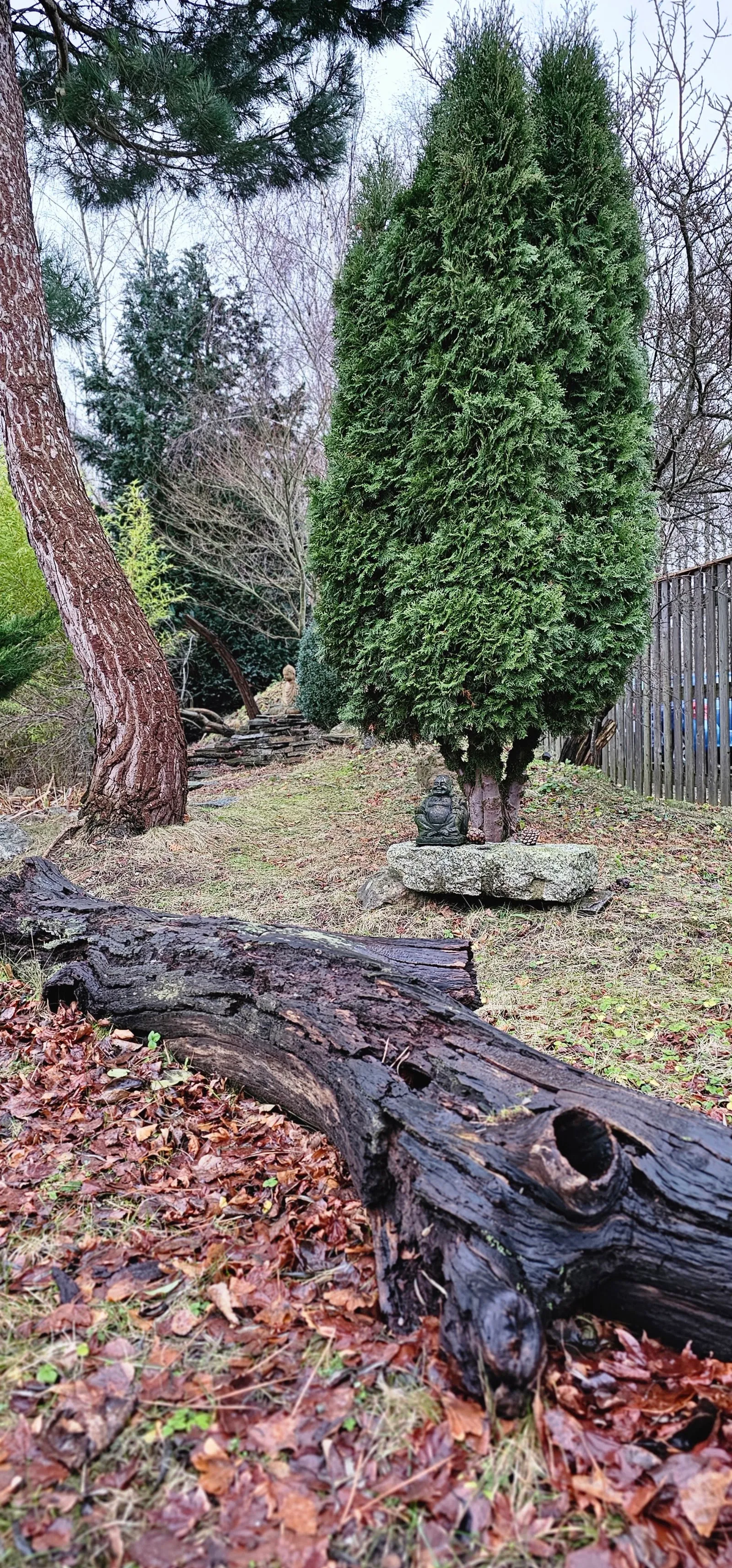 Zen-Kreis-Kiel e.V. — meditation-studio in Kiel — 3