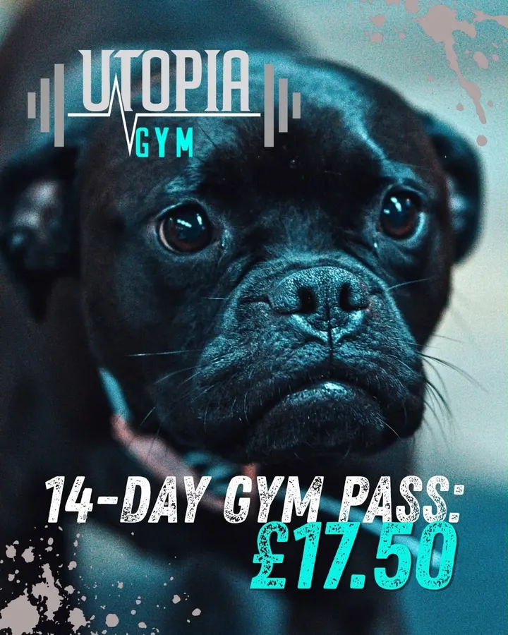 Utopia — fitness studio in Evesham — 4